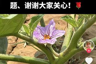 阿劳霍本场数据：送点+染红，3次封堵，2抢断，评分仅5.9分